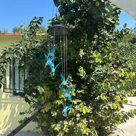 κλεοπατρα Apartment Sfendamion